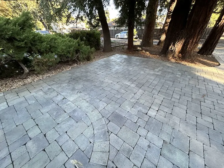 Circular paver patio under redwoods